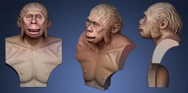 3D модель Человек прямоходящий (STL)